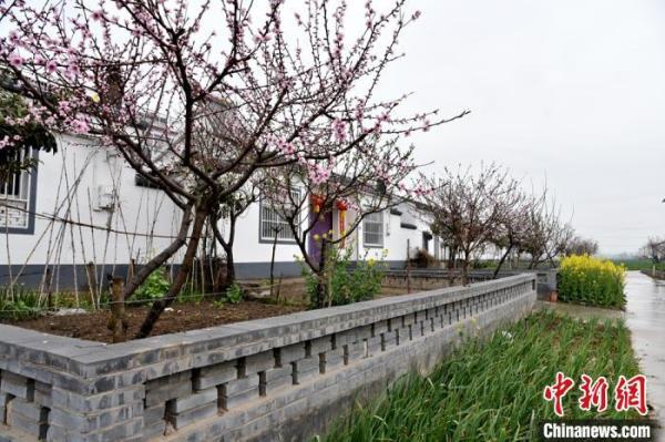 江苏睢宁构建三园新格局绘就乡村振兴美丽画卷