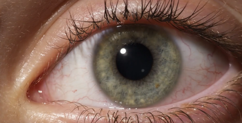 这玩意叫半月皱襞,曾经它也是人类的第三只眼皮,如同动物的眼皮一般