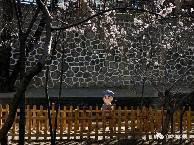 實拍介休汾秀公園今天天氣真好