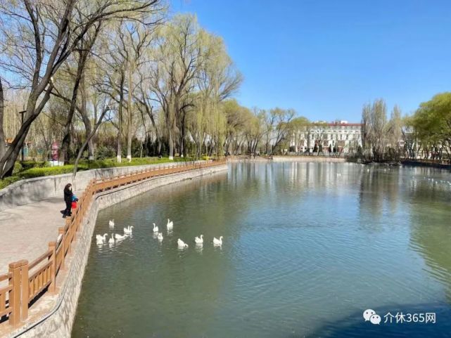 實拍介休汾秀公園今天天氣真好