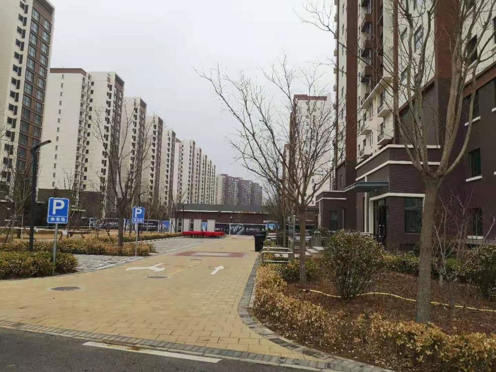 面向城六区最受关注共有产权房周末起选房28600元平