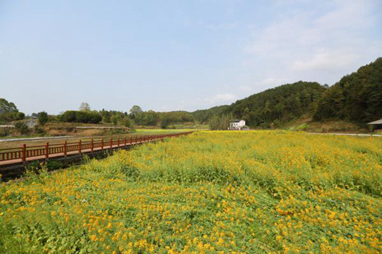 田荣平摄据了解,石龙镇位于巴南区东南部,镇内自然资源丰富,平均海拔