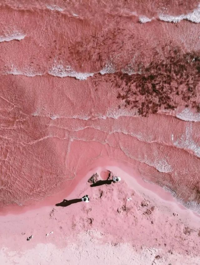 国内唯一的粉红沙滩就在玉溪澄江无门票遇见这片粉色海