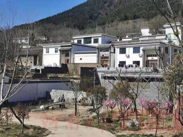 3月22日,记者走进登封市少林街道办事处雷家沟村,干净整洁的街道两旁