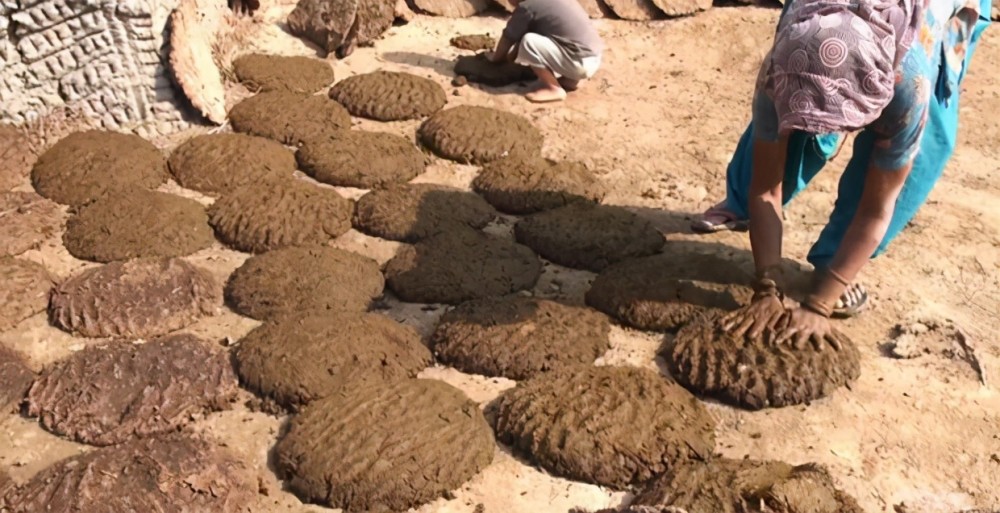 印度"牛粪饼"一盒卖30元,想开拓中国市场:中国人肯定会抢购_腾讯新闻