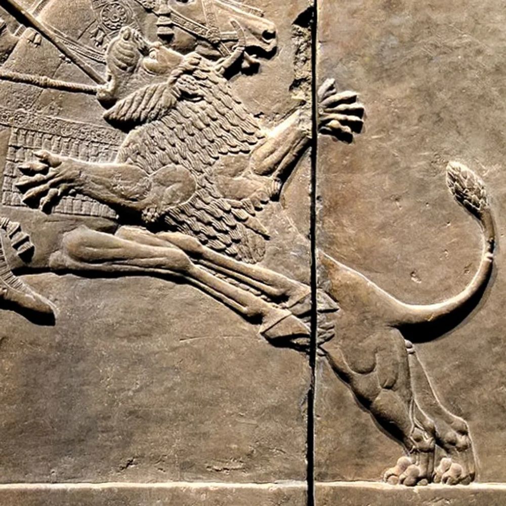 《猎狮图二》亚述巴尼拔王宫殿(伊拉克)-雕塑作品欣赏(九十二)