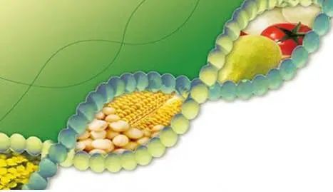 2020年全球转基因作物行业观察_腾讯新闻