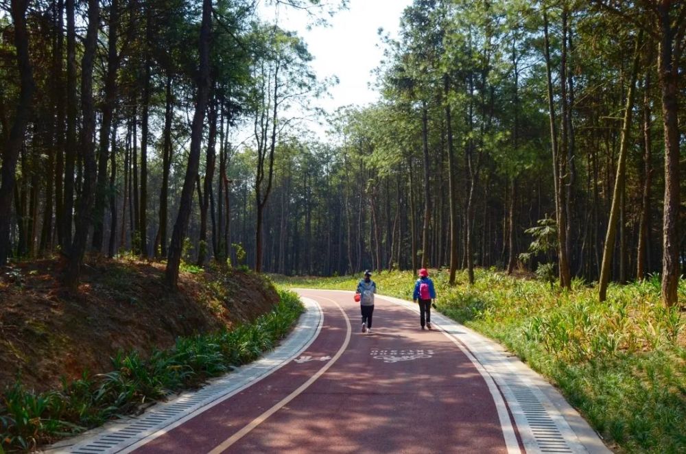 重庆铁山坪城市山径赛报名倒计时0424起跑