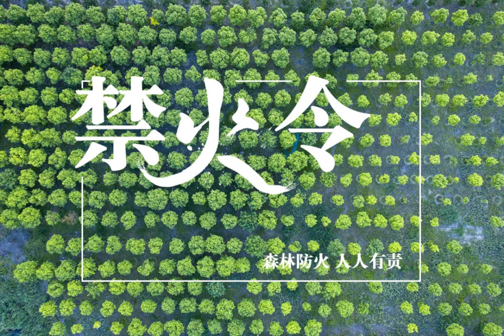 深汕合作区发布清明节森林防火禁火通告