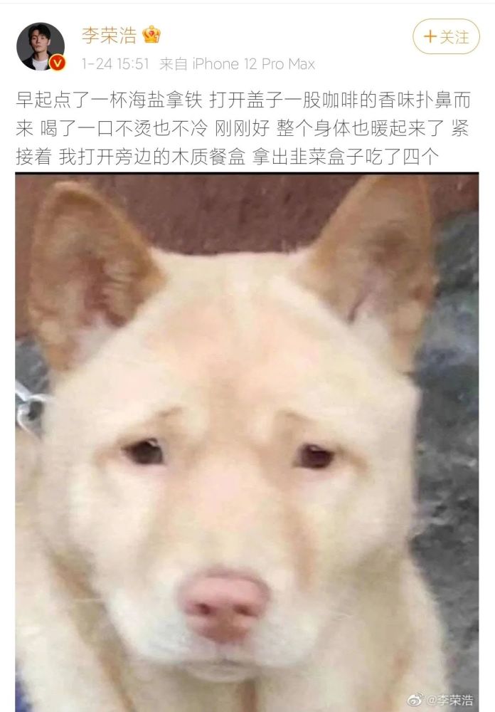 李荣浩撞脸小狗爆笑回应对生物界有贡献居然在狗面前没自信