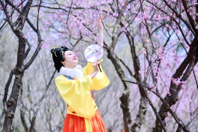 腾讯内容开放平台