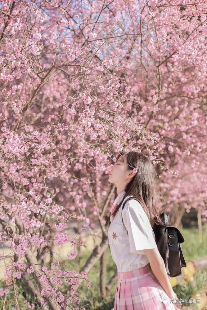 jk女孩丨桃花开了_腾讯新闻