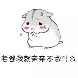 仓鼠表情包老婆我就抱抱不做什么