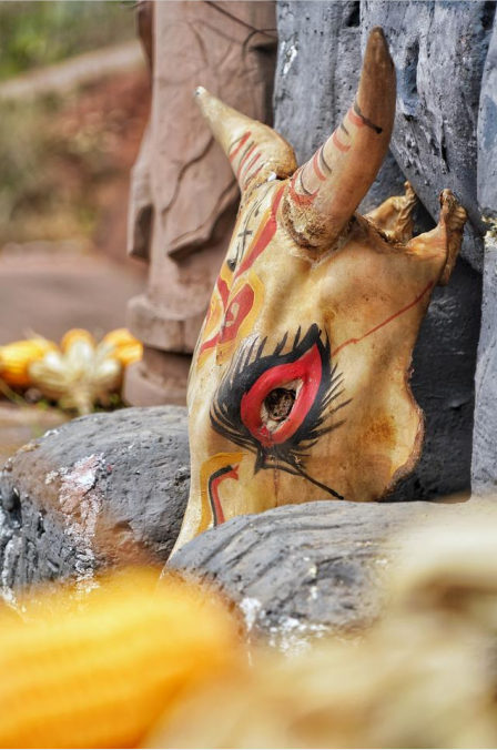 中国双柏2021彝族虎文化节邀您云上看虎