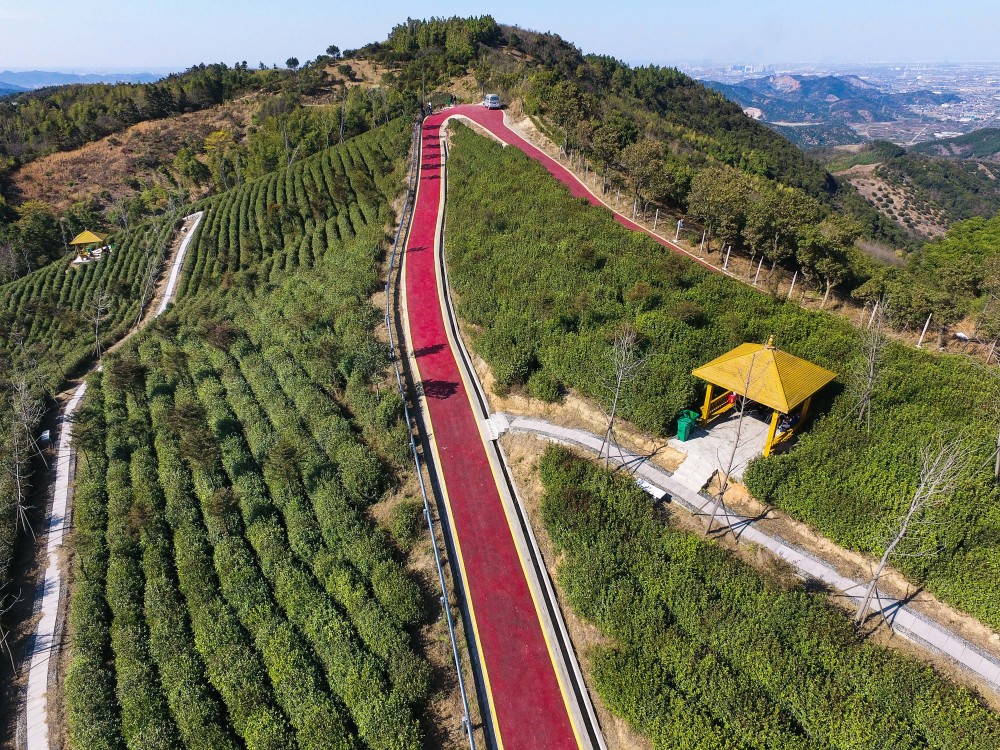 俯瞰慈溪市匡堰镇岗墩村茶园内红色的旅游骑行步道(3月22日摄,无人机