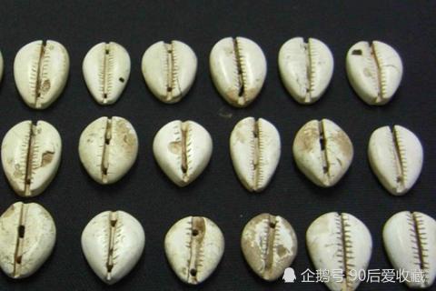 三星堆出土的大量海贝币和中国南方丝绸之路有哪些历史渊源