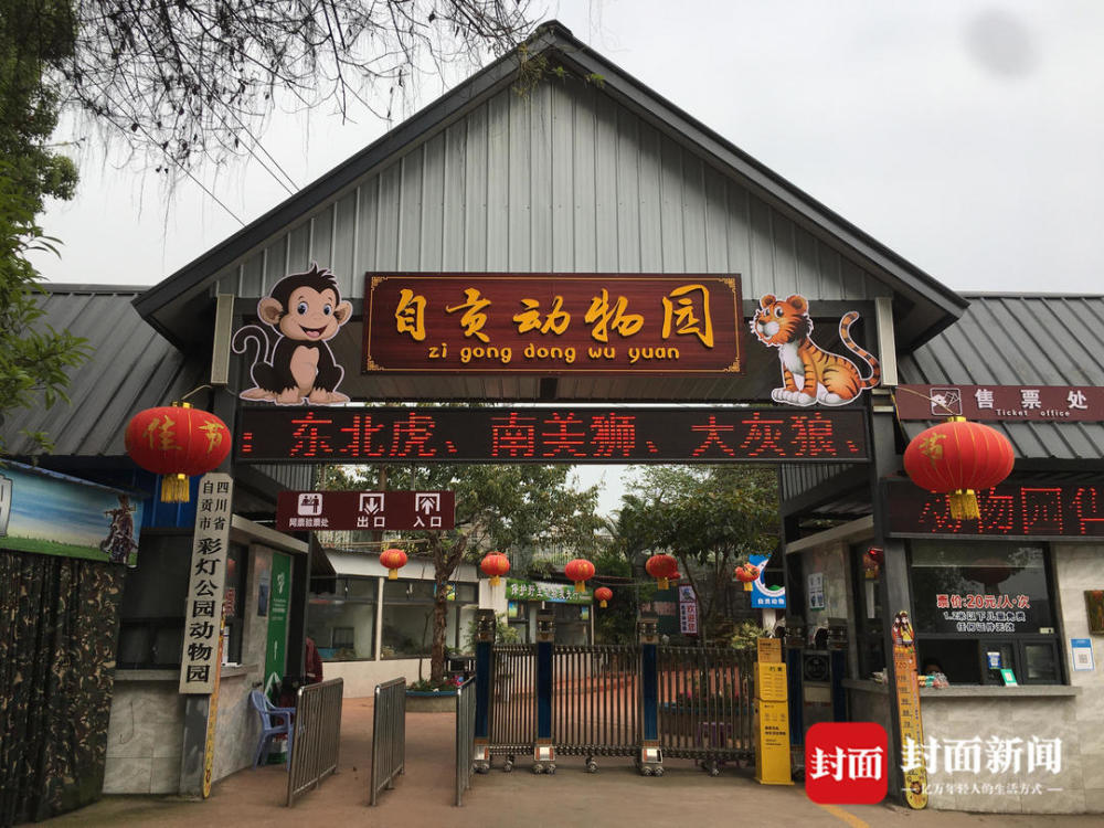 四川自贡动物园升级改造02上世纪80年代末曾是全川第三大动物园