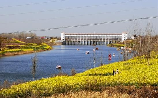 河南西华第十七届桃花节绚丽开幕