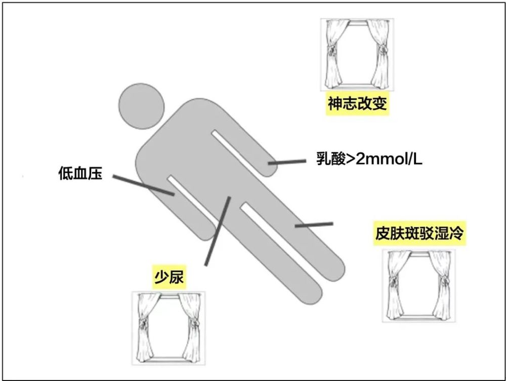 休克早期图片