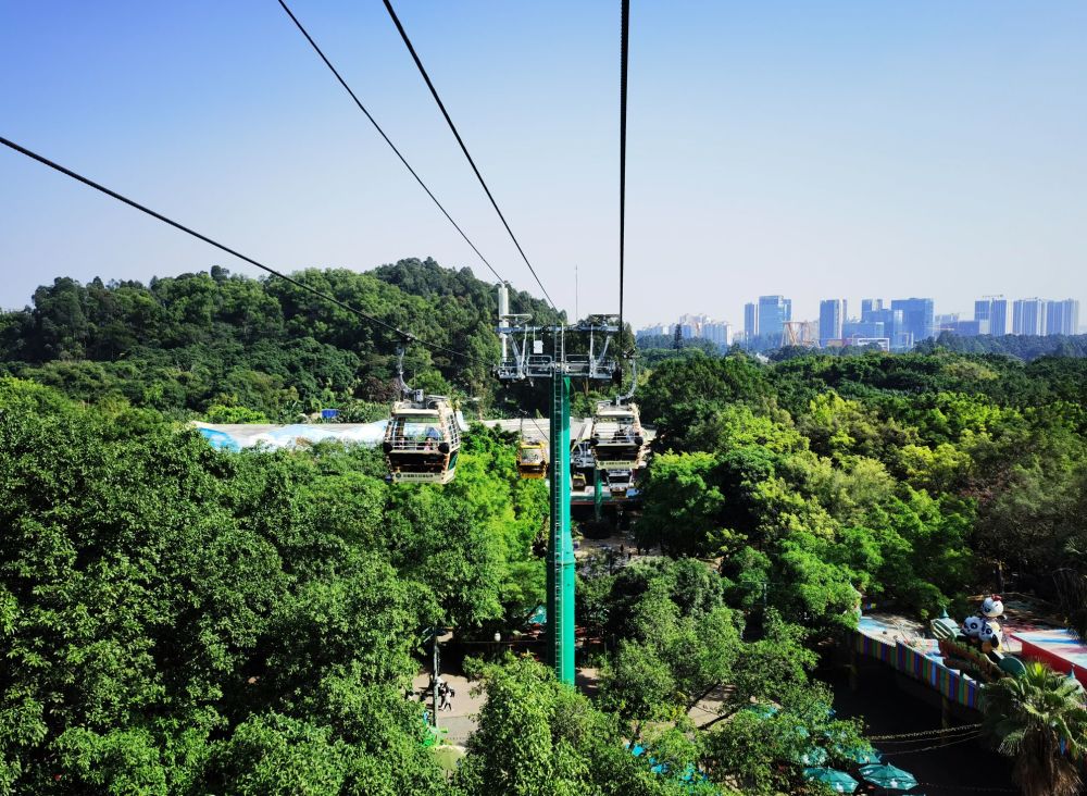 动物世界广州长隆风光