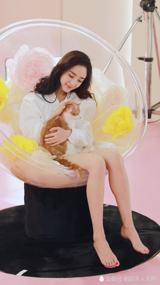 美腿女神杨幂美图合集13