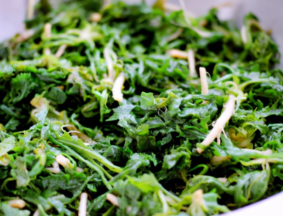 春天,用野菜包饺子,韭菜芹菜都要靠边站,鲜美多汁比肉馅香