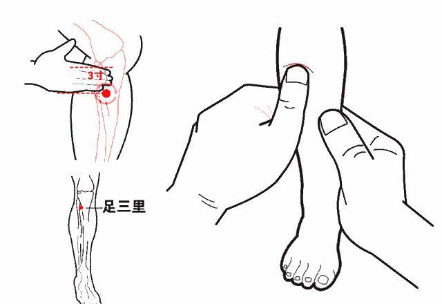 打通胃經,強大氣血的