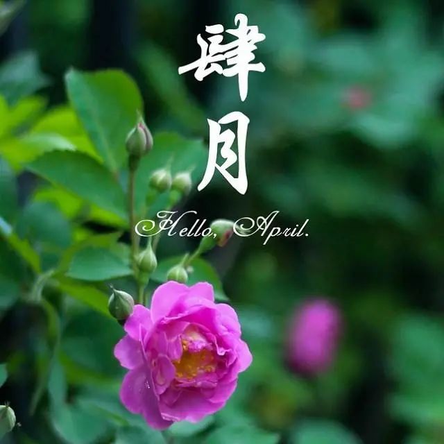 3月再见,4月你好朋友圈唯美哲理高级说说 四月你好简短唯美句子_腾讯