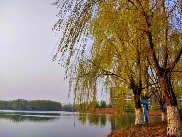 晨曦中的泗县新濉河水滋养了美丽的泗县,古运河,新汴河,新濉河,民利河