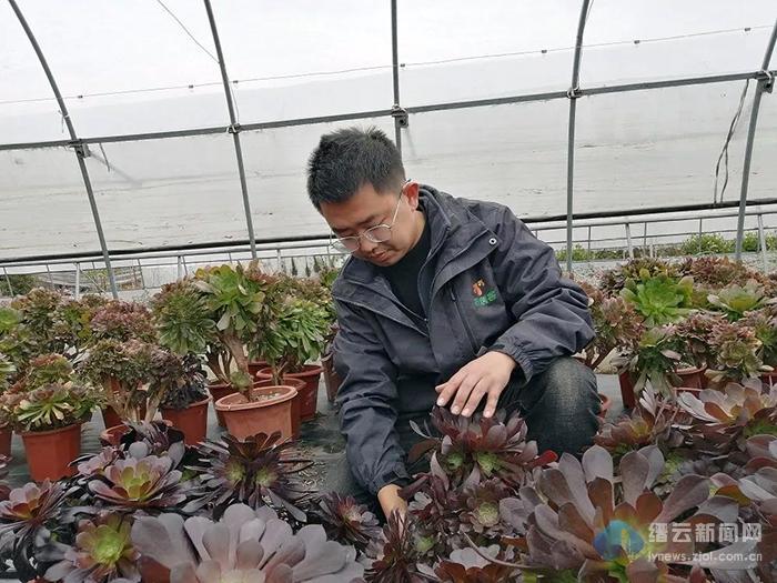 缙云 翁杰 深耕农旅融合养肥 多肉 腾讯新闻