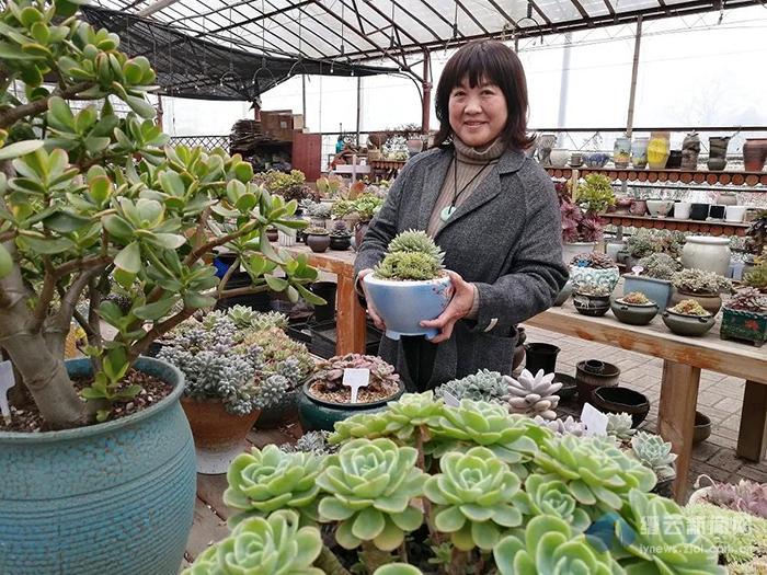 缙云 翁杰 深耕农旅融合养肥 多肉 腾讯新闻