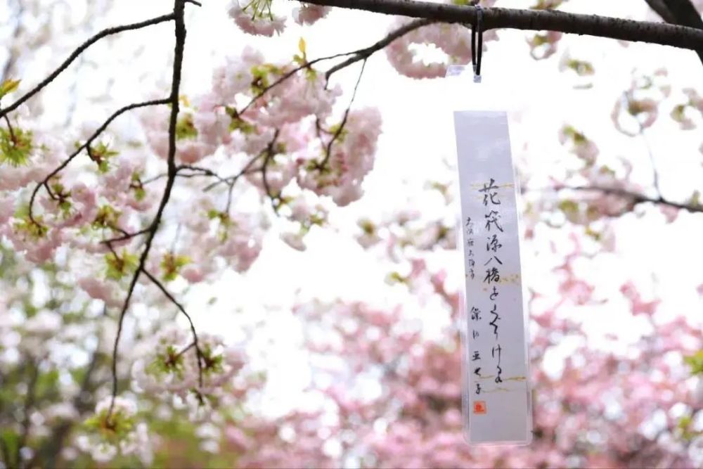 日本俳句中的季语 浪漫到极致 腾讯新闻