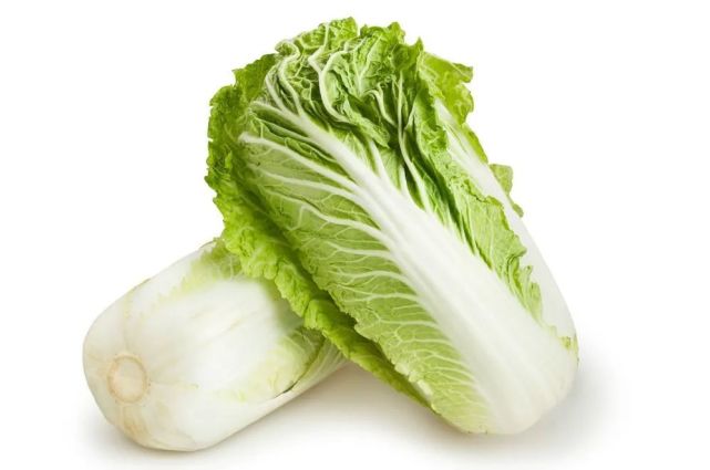 白菜口感就越鲜甜脆嫩;后一种成分太多,尝到的就是咬不动的白菜筋了[5