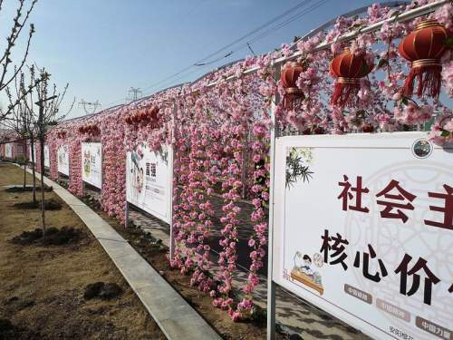 安阳洪河樱花小镇掠影