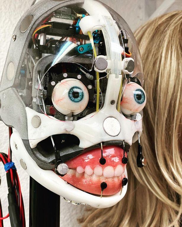 机器娃娃将获得灵魂能够自主说话行走实现高质量的陪伴