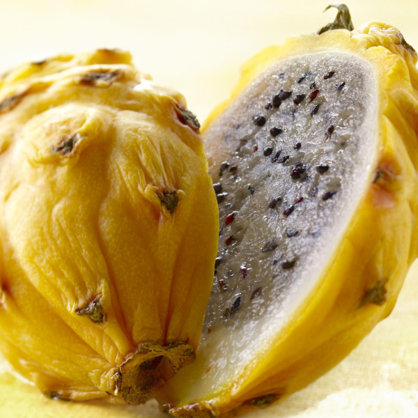 火龙果品种科普,观看有惊喜