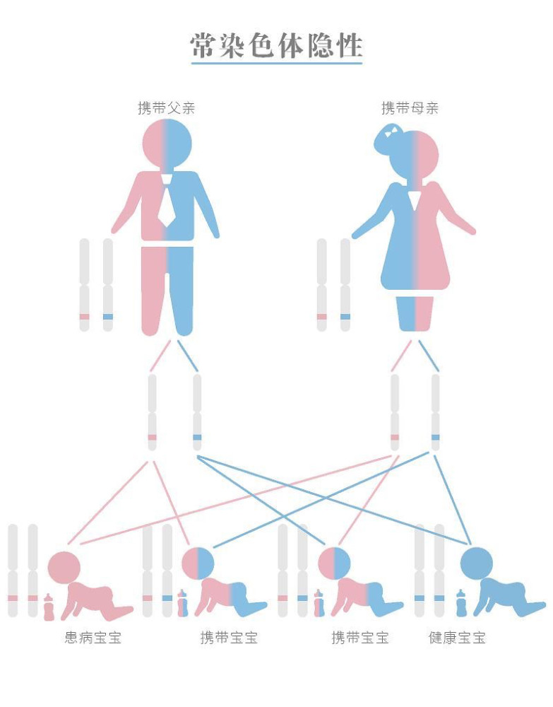 动物会避免回交,但是人类却故意让动物回交?这有什么好处?
