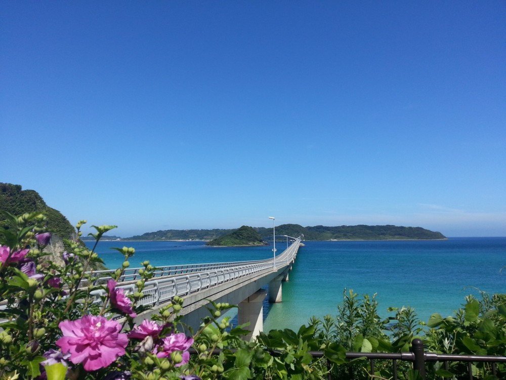 74开放时间:全天开放门票:免费地址:日本山口县下关市丰北町大字角