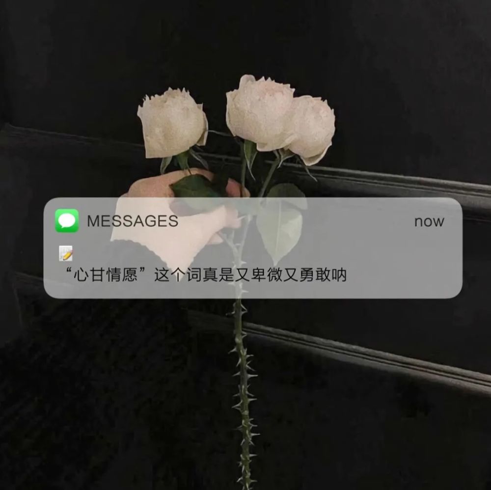 背景图2021323日精选背景图