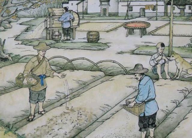 设想事情原来是这样的,稻田养鱼这种模式在中国古代的时候就已经存在