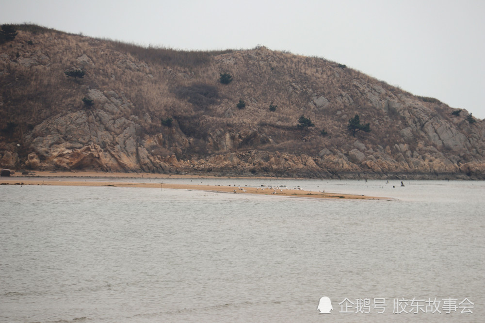 膠東地理:海陽虎頭灣附近有座天然