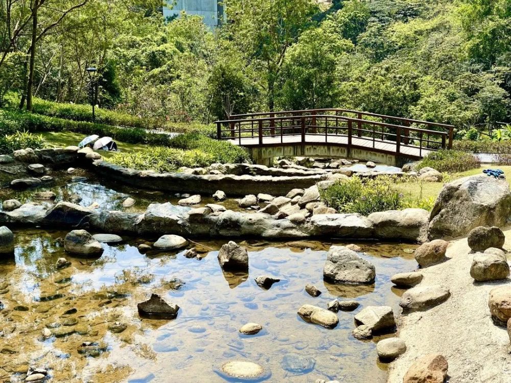 苕溪清,霅溪绿,山下兰花短浸溪,树间石路净无泥,尽管已过花期依旧能