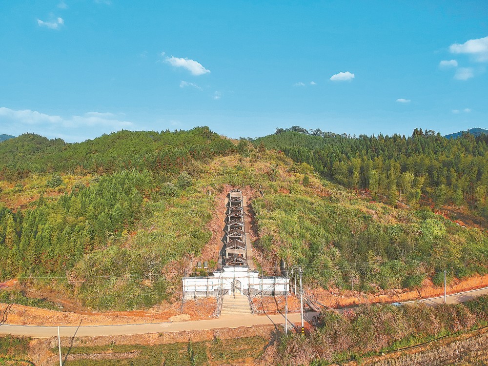 水吉建窑遗址入窑一色出窑万彩