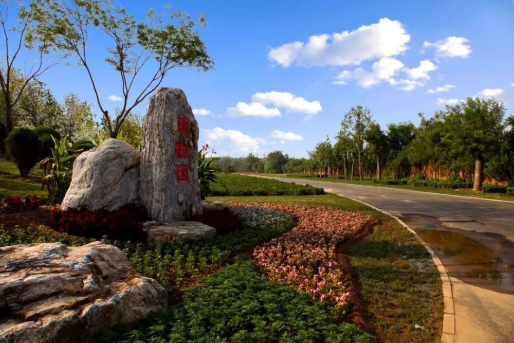 三河燕郊这些地儿的花太漂亮了