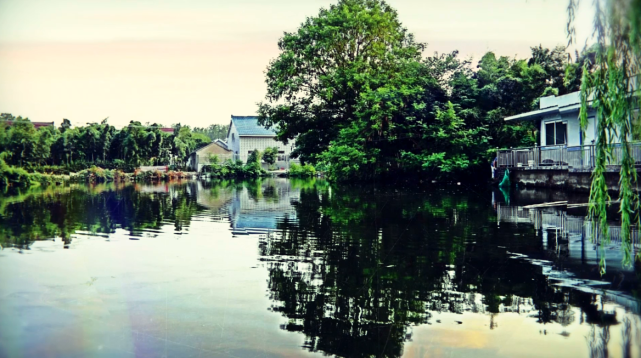 美丽乡愁乡村绿化美化连载江苏61鸣凤村