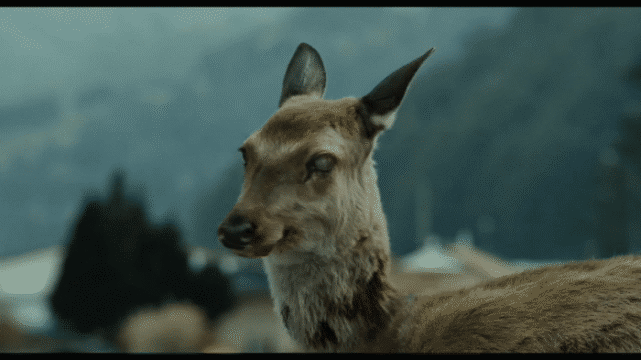 朊病毒背后的真相