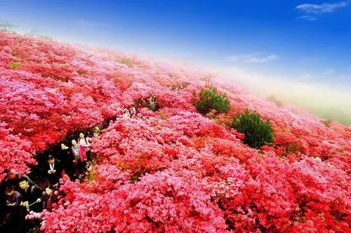 黄冈不仅中学很牛,吃喝玩乐样样都牛!