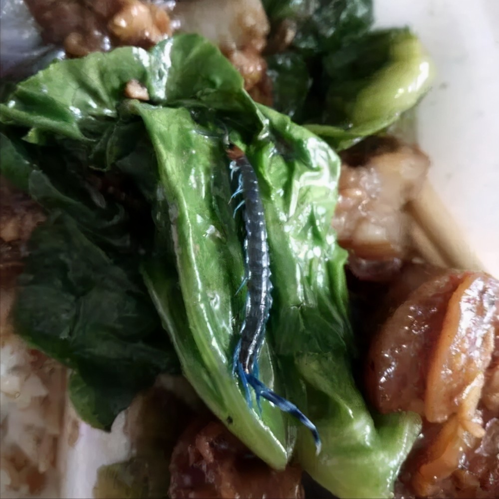 恶心心!男子服务区买卤鸡胗吃出鸡粪,客服:是鸡的一部分