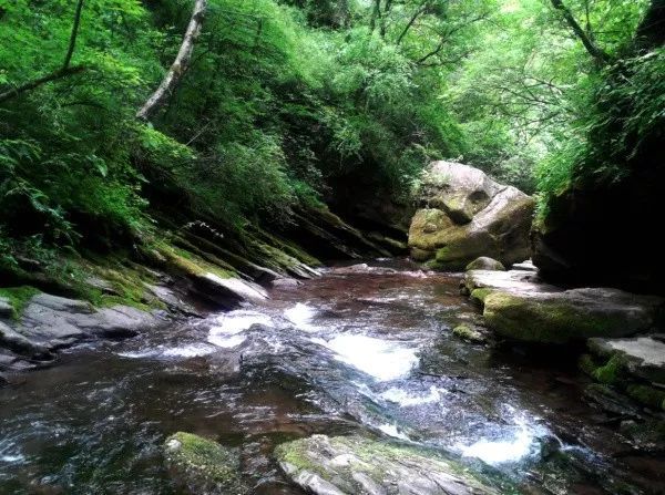 六盘山凉殿峡成吉思汗最后的驻跸地
