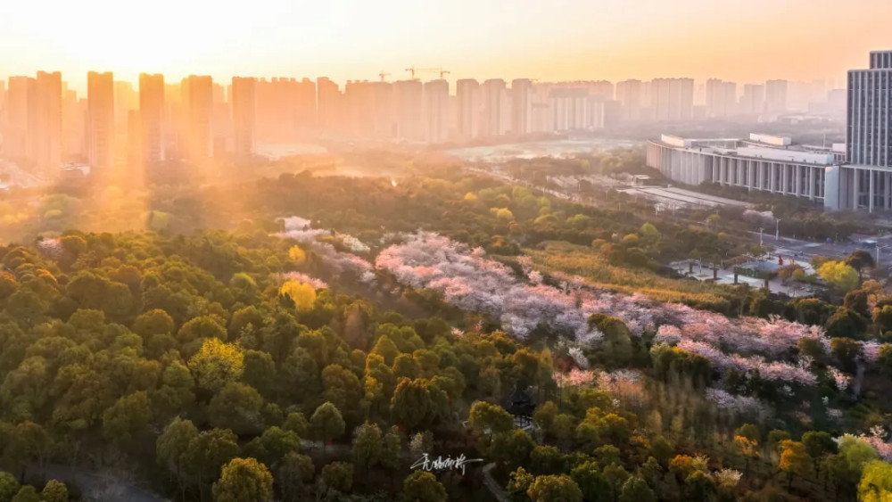 无锡的金匮公园美成仙境了